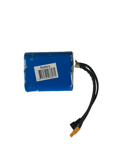 Story E-Motion Kinder Elektroroller Batterie