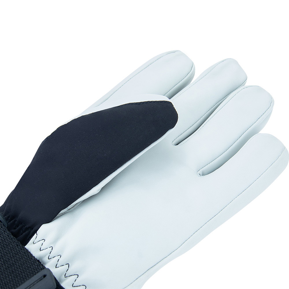 Annox Alpine Skihandschuhe aus Leder